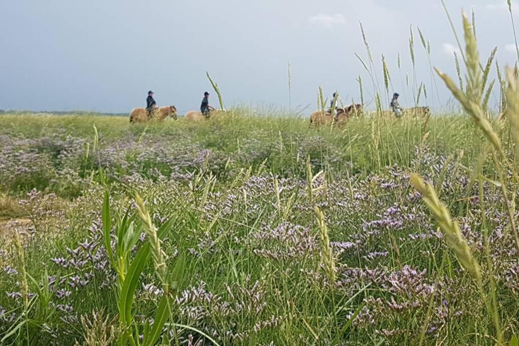La Cabane Des Dunes A Fort-Mahon Plage المظهر الخارجي الصورة