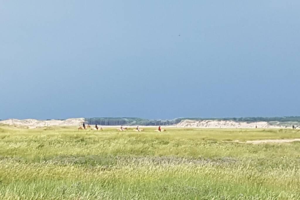 La Cabane Des Dunes A Fort-Mahon Plage المظهر الخارجي الصورة