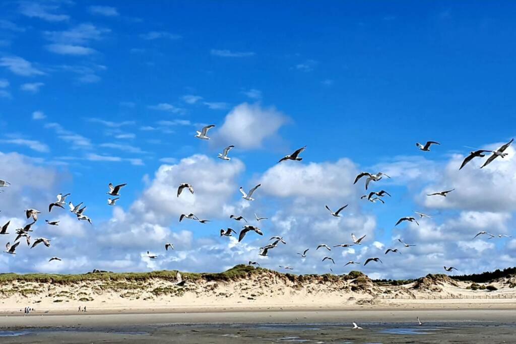 La Cabane Des Dunes A Fort-Mahon Plage المظهر الخارجي الصورة